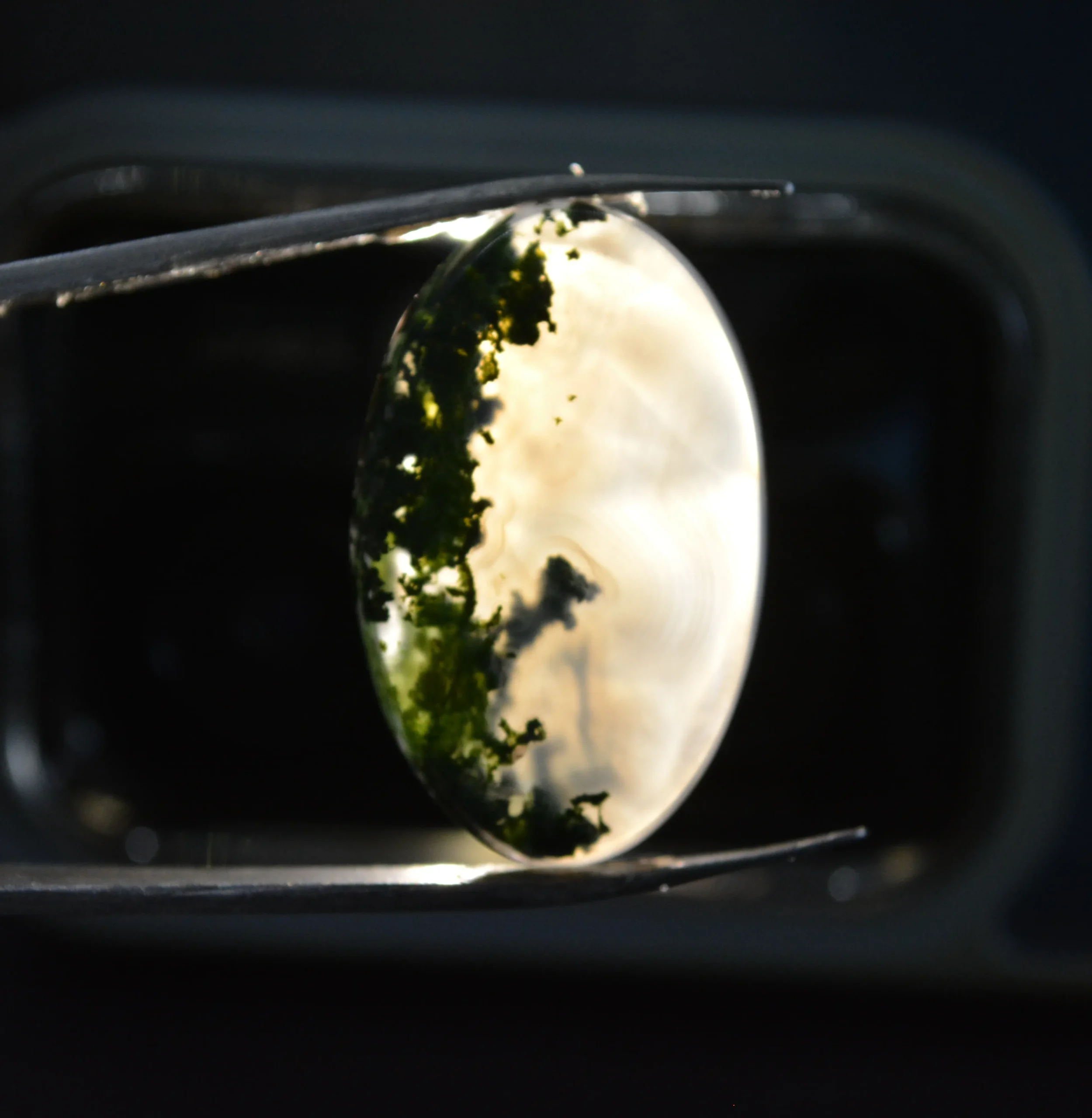 عقیق شجر بهاری