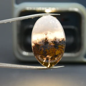 عقیق شجر پاییزی