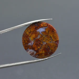 عقیق شجر پاییزی