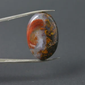 عقیق شجر پاییزی