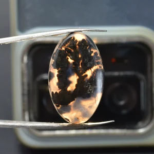 عقیق شجر سیاه