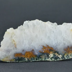 راف شجر هفت رنگ